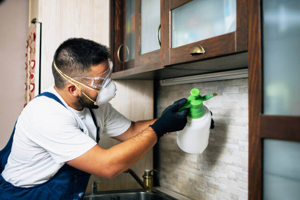 Best Pest Control Near Me  in Bryan, OH