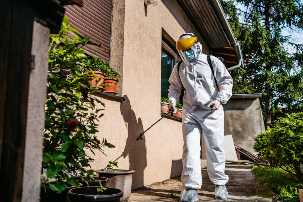 Best Affordable Pest Control Services  in Bryan, OH