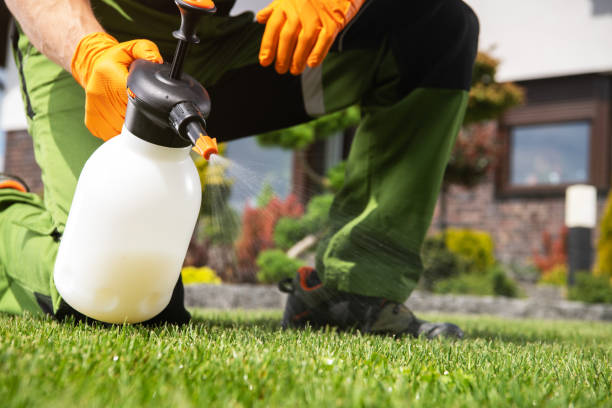 Best Bed Bug Extermination  in Bryan, OH
