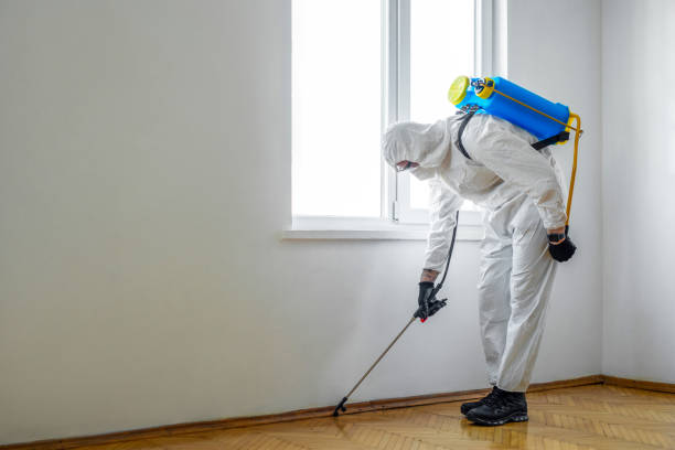 Best Termite Control Services  in Bryan, OH