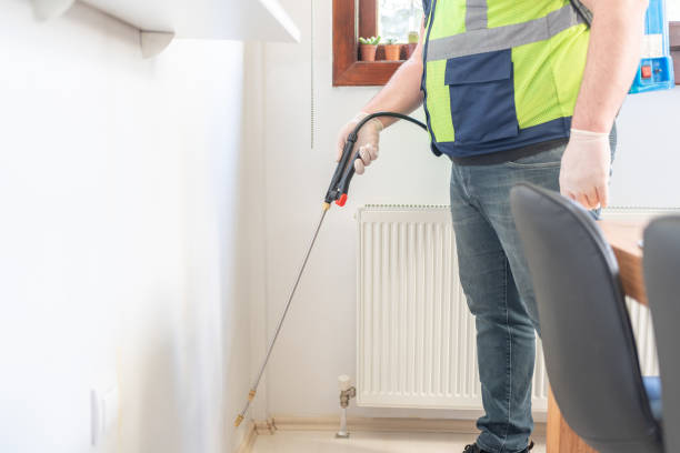 Best Wasp Removal Services  in Bryan, OH