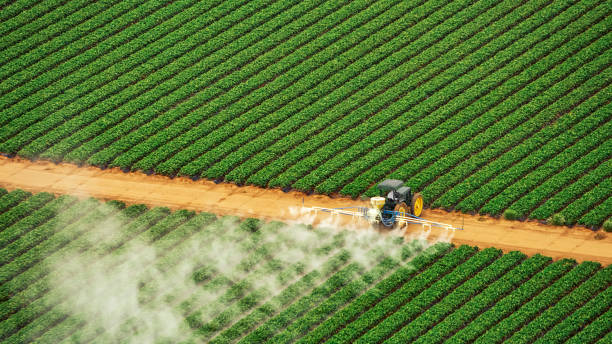 Best Ant Control Services  in Bryan, OH